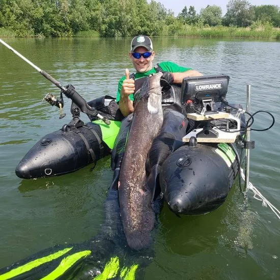 Aletas De Barco MadCat Belly - Imagen 3