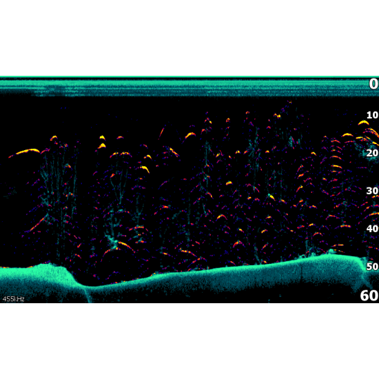 Transductor Lowrance Hook Reveal 7 Triple Shot 2023 - Imagen 13
