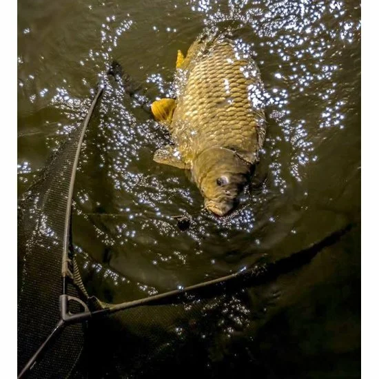 Sonik DominatorX Net 42 Pulgadas 8 Pies 2pc - Imagen 2