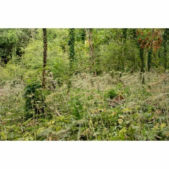 Fortis Eyewear Chaqueta Marina Realtree - Imagen 14