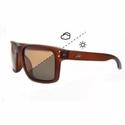 Gafas De Sol Fortis Eyewear Bays Switch Marrón