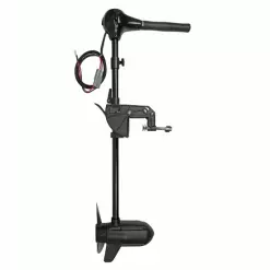 Motor Fox 100lb 24v BL