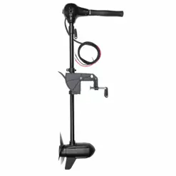 Motor Fox 80lb 12v BL