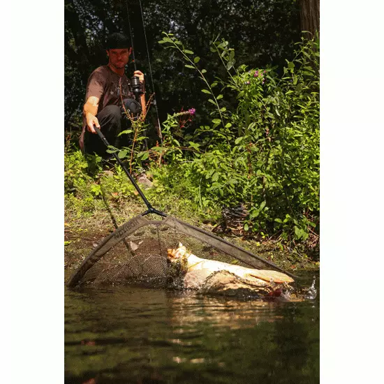 Sacapuntas Fox Horizon X4 De 8 Pies Y 42 Pulgadas - Imagen 2