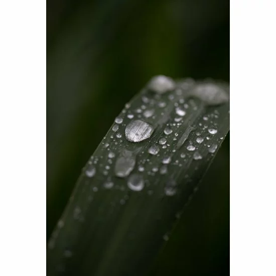 Funda Para Vadeador Korda Compac - Imagen 17