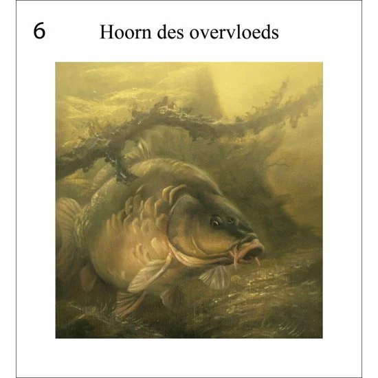 Rob Schneider Carpa A La Vista - Imagen 7