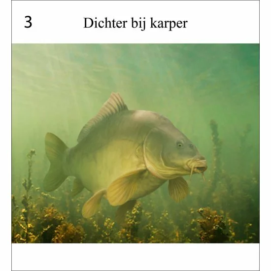 Rob Schneider Carpa A La Vista - Imagen 4