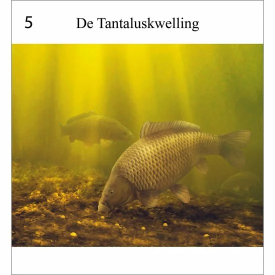 Rob Schneider Carpa A La Vista - Imagen 6