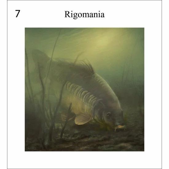 Rob Schneider Carpa A La Vista - Imagen 8