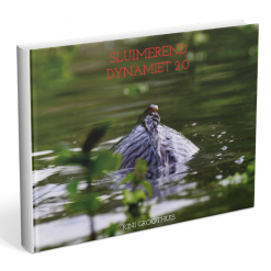 Rini Groothuis Dinamita Inactiva 2.0