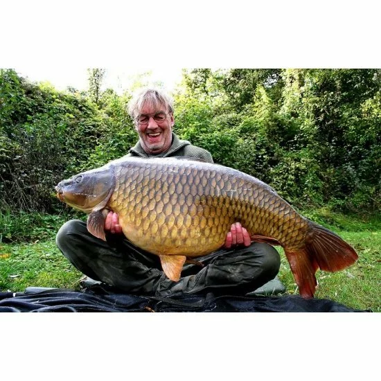 Rini Groothuis Dinamita Inactiva 2.0 - Imagen 2