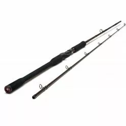 Westin W4 Powershad-T 2nd 7'3"/218cm XXH 50-150g 2seg