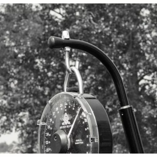 Gancho De Pesaje Cygnet Easylift - Imagen 4