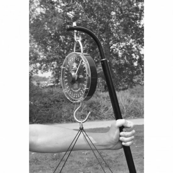 Gancho De Pesaje Cygnet Easylift - Imagen 2