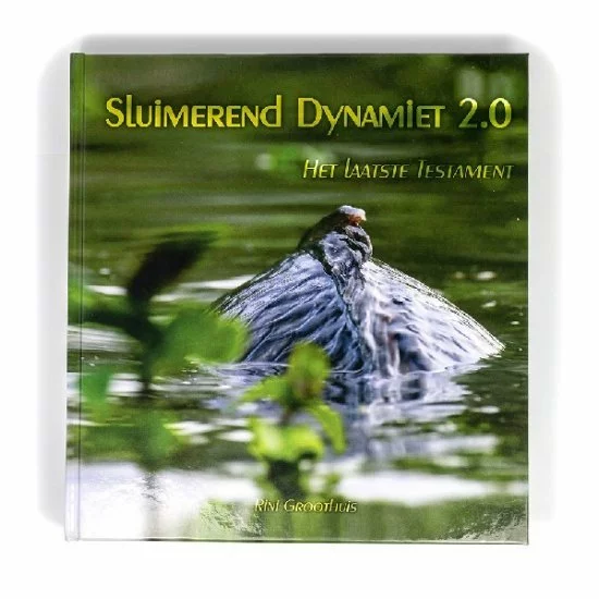 Rini Groothuis Dinamita Inactiva 2.0 - Imagen 3