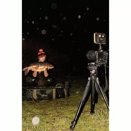 Luz De Fotografía Fox Halo - Imagen 8