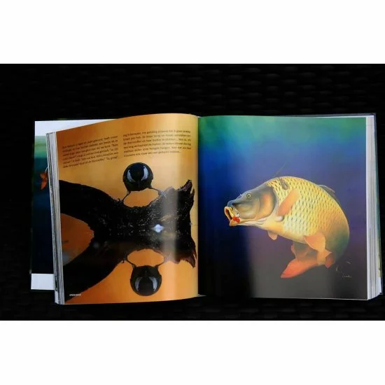 Rini Groothuis Dinamita Inactiva 2.0 - Imagen 4